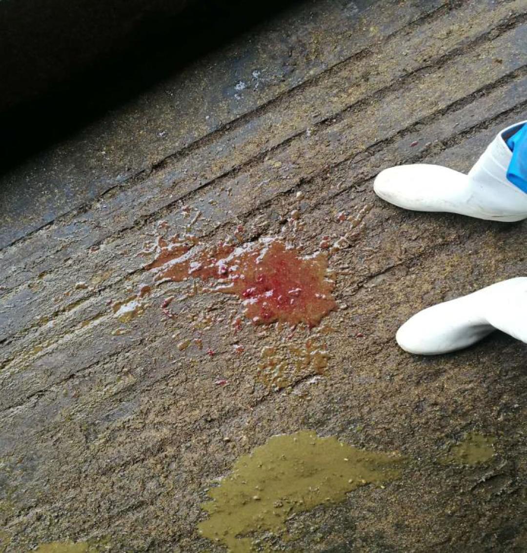 中国农大预防兽医,中国农业大学潘保良