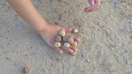 回忆童年那些美好时光,回忆那些美好童年时光