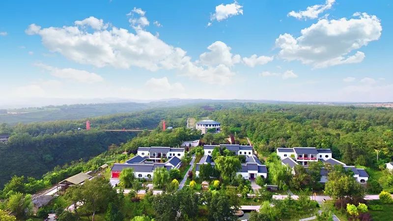 “小雪”已至，曲江的活动却让人躁动！