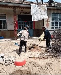 搞笑版的小萝莉,搞笑小萝莉图片