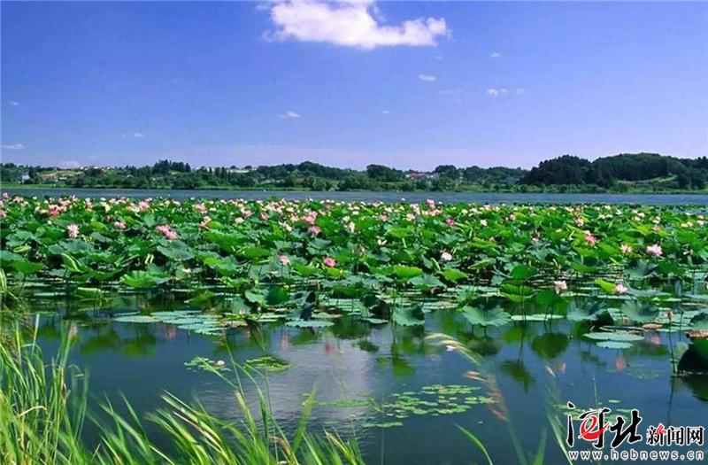 大河之北风景区,大河之北清东陵