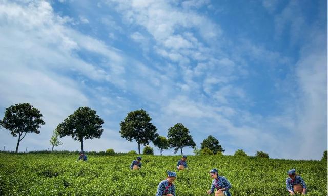 溧阳市枫香小筑民宿,溧阳天目湖最好的民宿