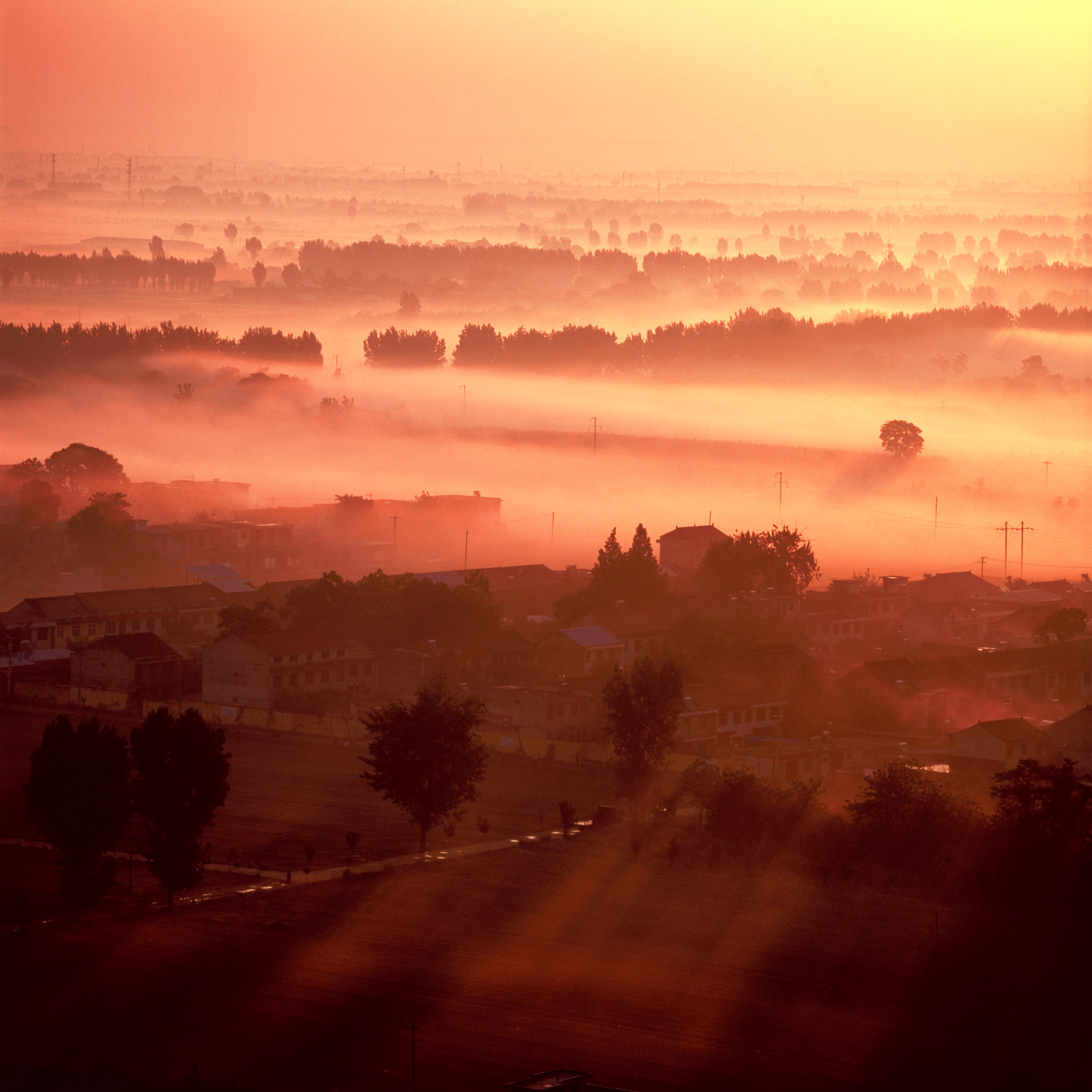 鄠邑区是文化大区，现拥有“国字牌”艺术家15人，名列全省前茅