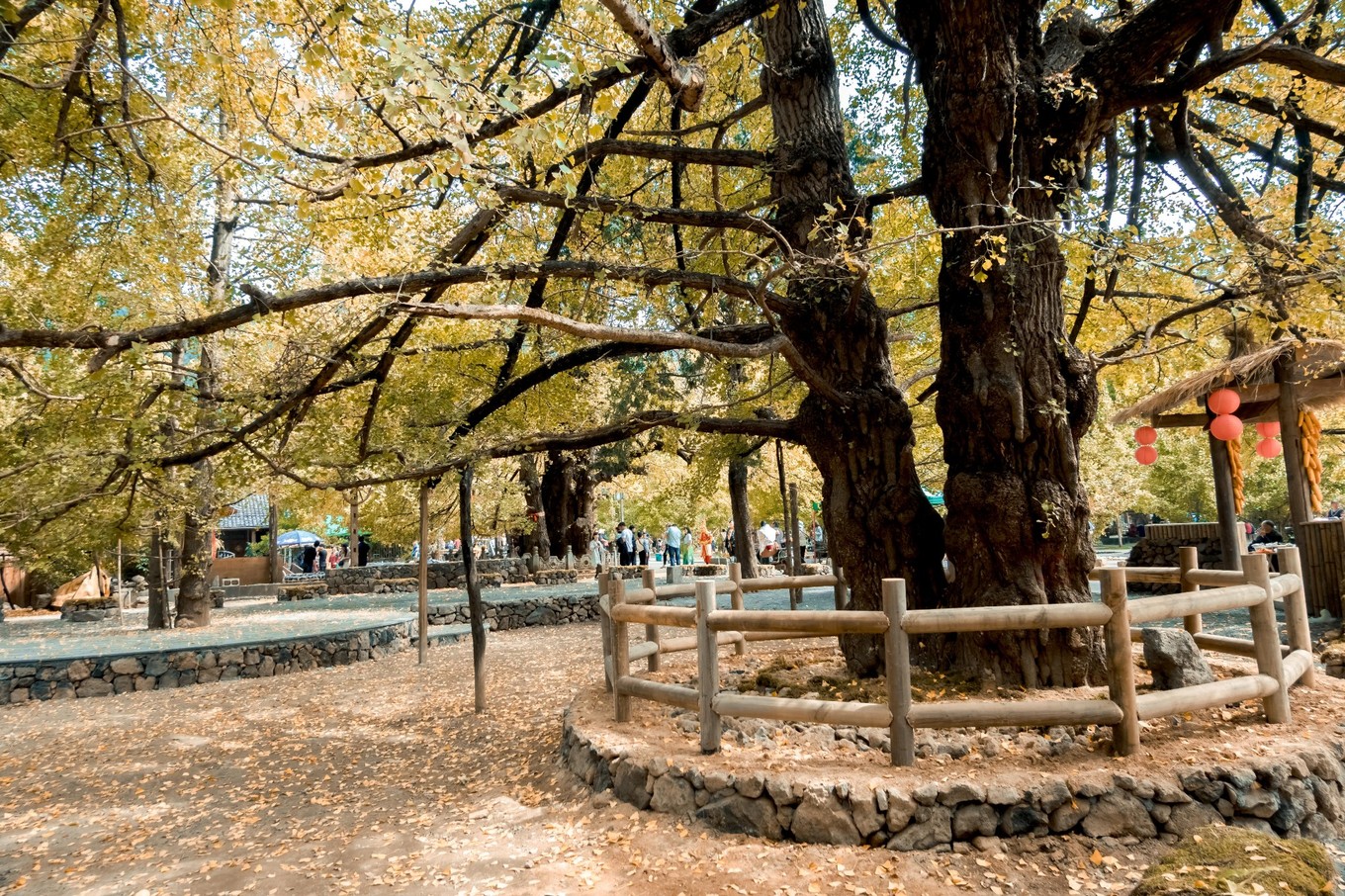 云南腾冲9月旅游攻略,云南腾冲旅游攻略秋天