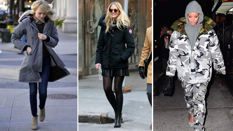 加拿大鹅用的是鸭绒还是鸭毛,加拿大鹅vs波司登羽绒服