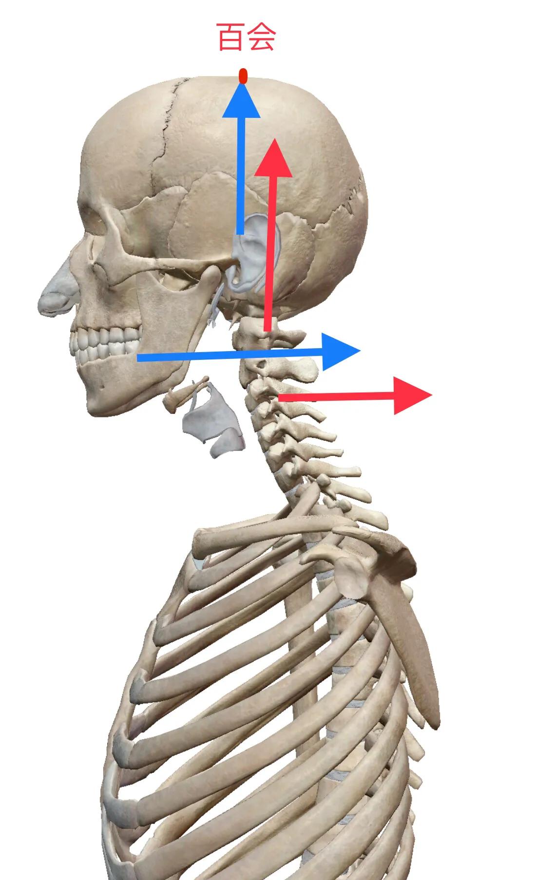 颈椎受凉后特别僵硬头重,颈椎僵硬响引起有点后脑胀痛