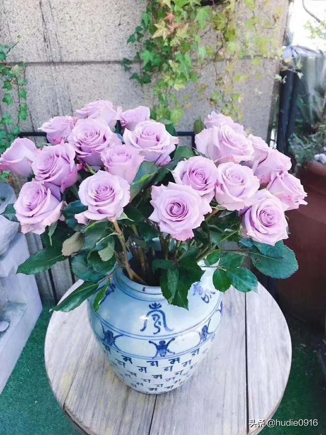 各色玫瑰寓意和花语一样吗,各色的玫瑰花代表什么