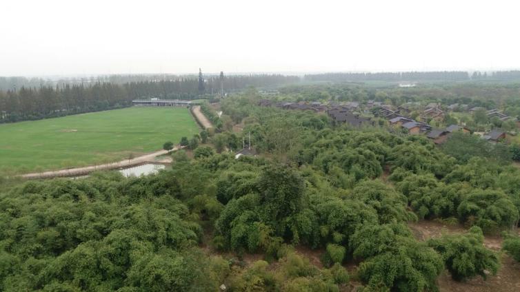 武汉周边自驾游景点排名前十名,武汉周边别墅度假村农家乐