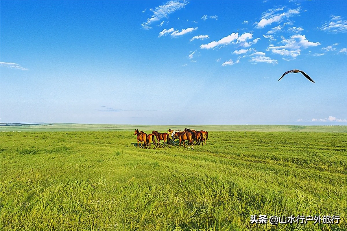 2021呼伦贝尔夏季旅行攻略 (呼伦贝尔四天旅游详解)