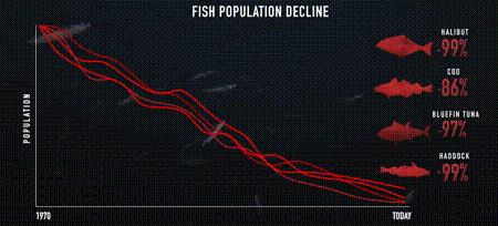 渔业危机纪录片,渔业阴谋纪录片预告