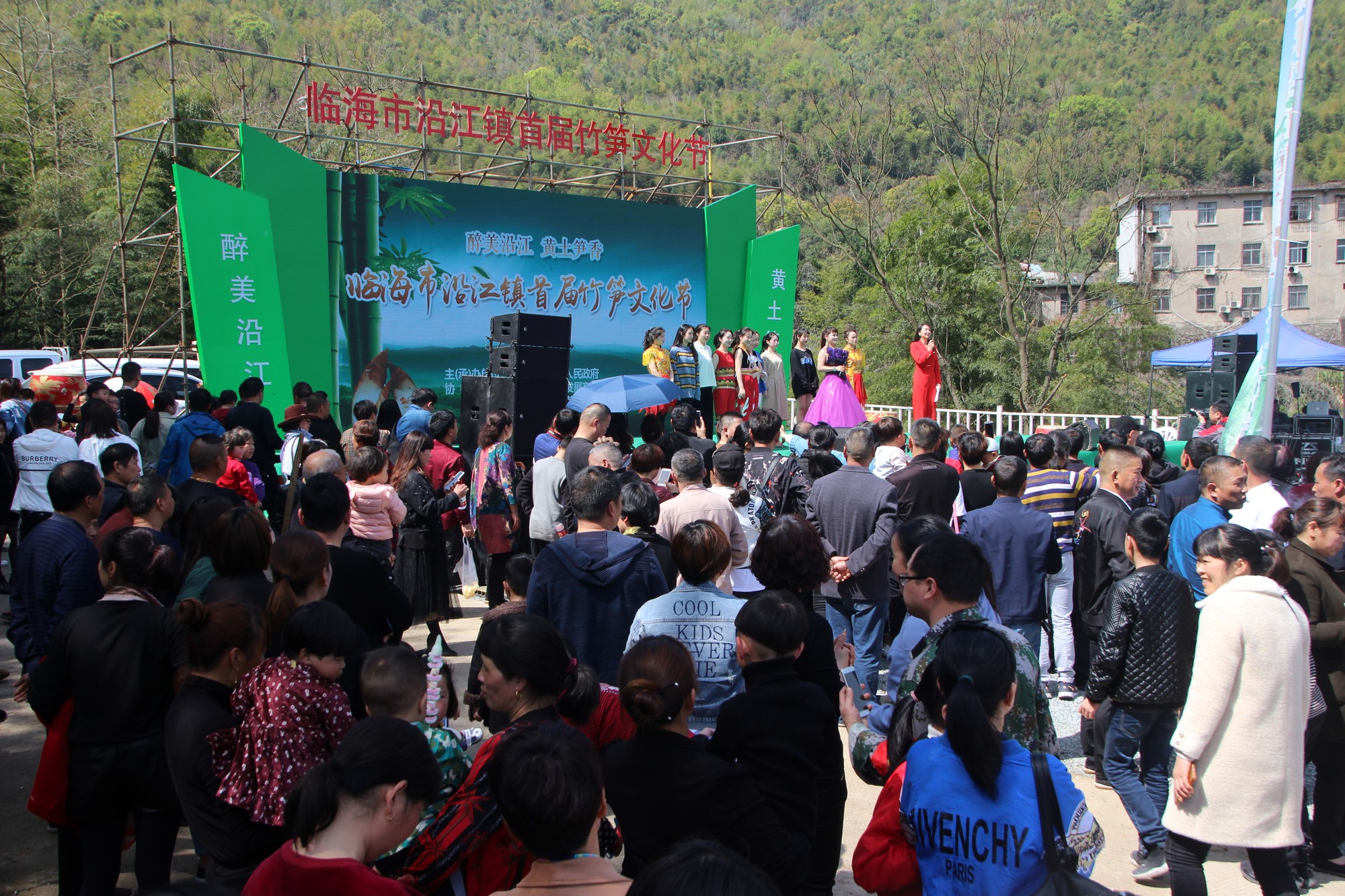 临海黄土山竹笋,浙江竹笋哪里最好