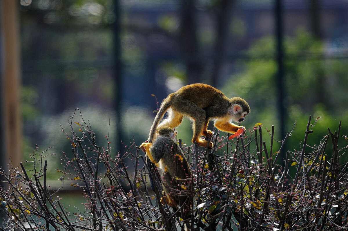 长沙本地一日游,长沙一日游价格