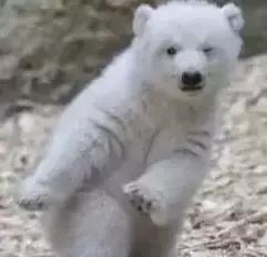 给父母买鱼油推荐,给爸妈买鱼油好吗