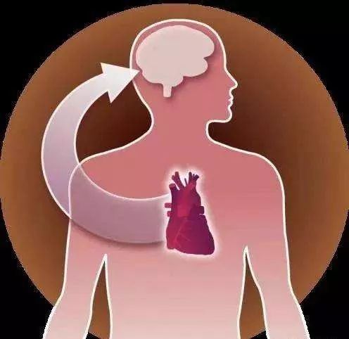 心脏上有个小洞会头疼吗,心脏上有个小洞是怎么回事