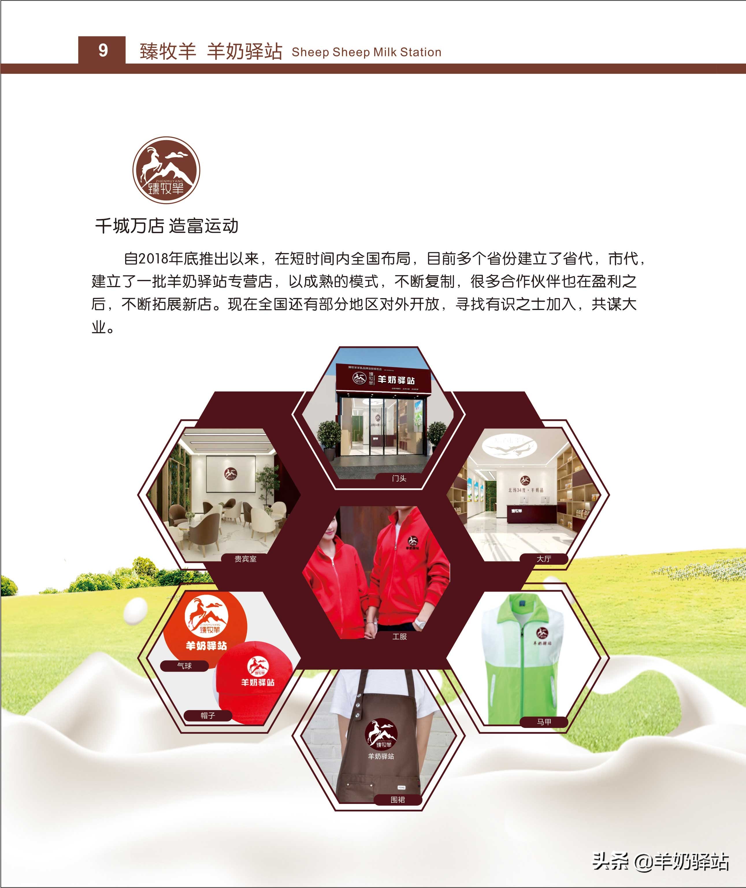 臻牧羊羊奶驿站运营模式,羊奶加盟连锁扶持排行榜