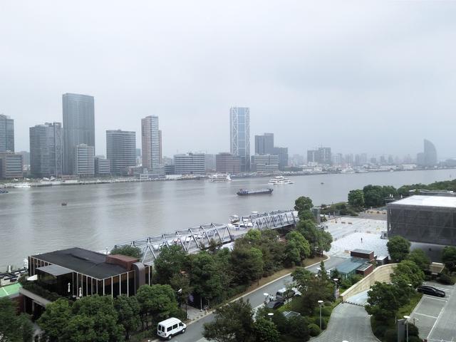 酒店体验版,酒店体验