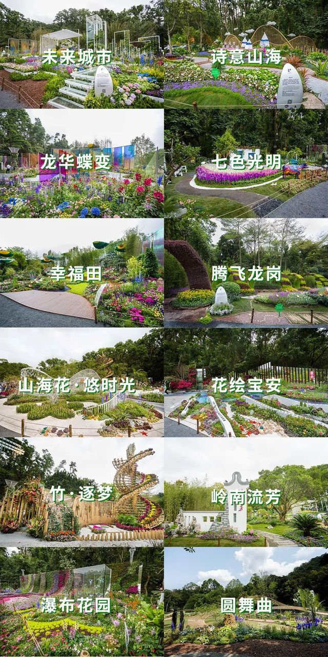 深圳史上最大最美的花展来啦,走进深圳仙湖植物园的国际花展