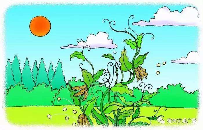 植物妈妈有办法二年级仿写凤仙花,植物妈妈有办法课后仿写教学设计