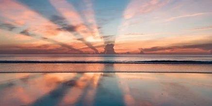 关于天生我材必有用的优秀作文,关于天生我材必有用的高中作文