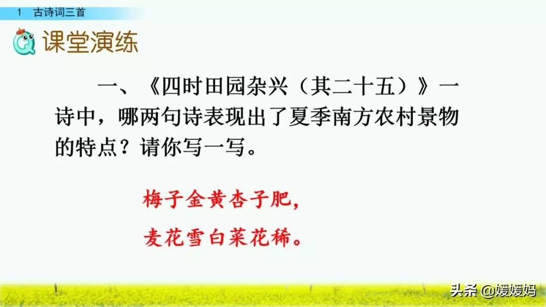 四年级下册第1课古诗三首练习,四年级下册古诗词三首的写作背景