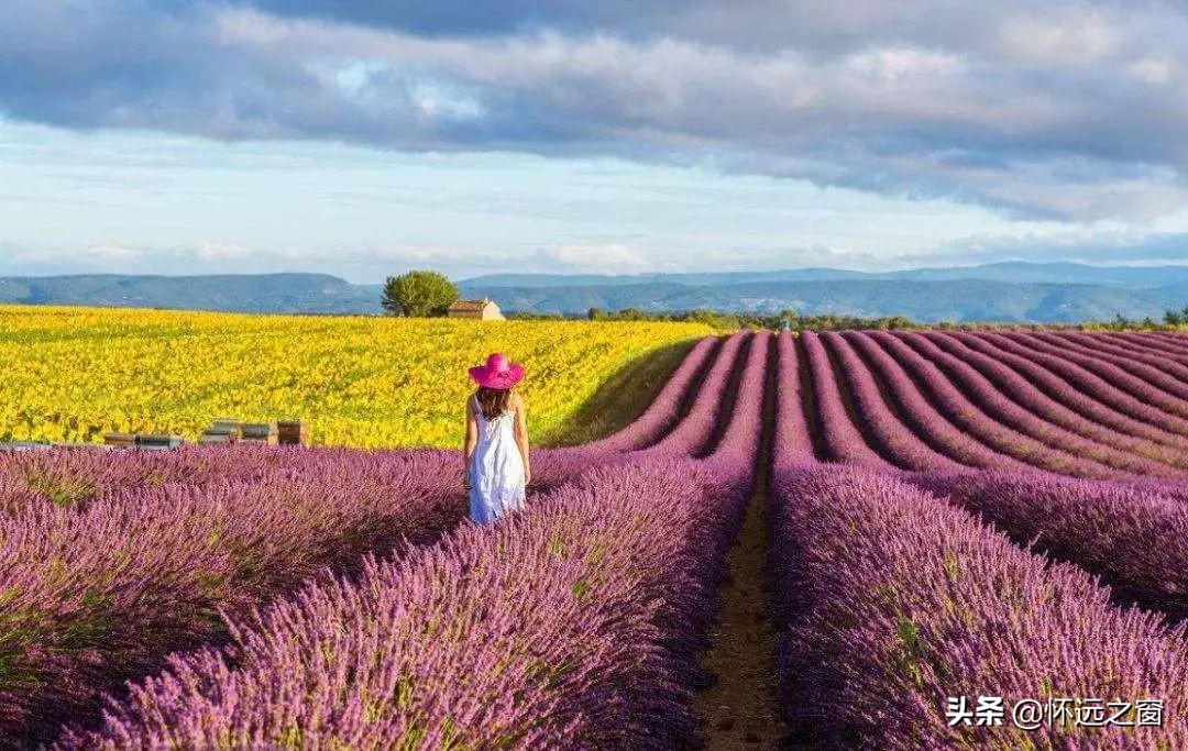 淮北市最值得去的旅游景点,淮北旅游区10大景点