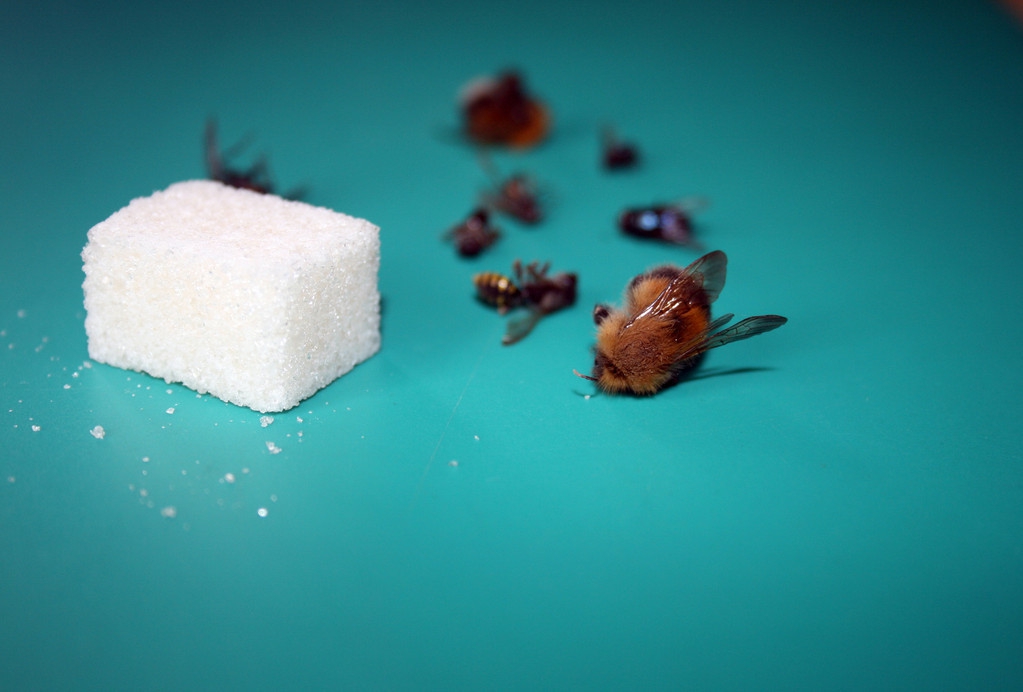 烦人的三块小石头