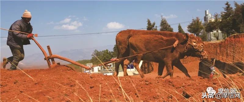 刘智远：摩托江湖的行者