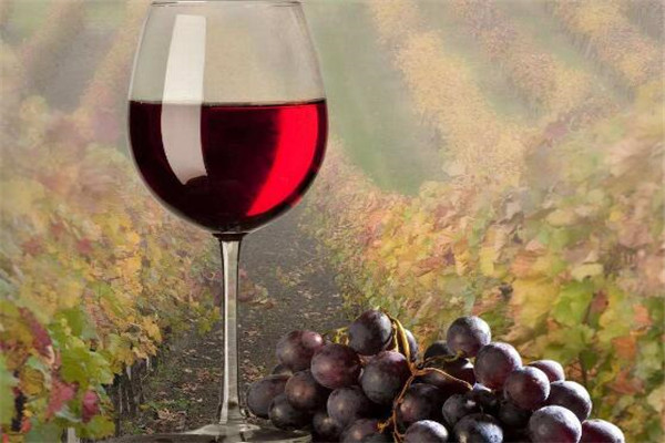 澳门有什么值得代购的东西,澳门最值得去的地方是哪里