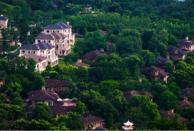 棕榈泉壹号楼,棕榈泉壹号会客厅实景图