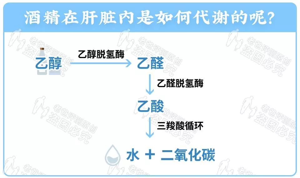 喝酒脸红属于醉了吗,喝酒脸红是酒量好吗