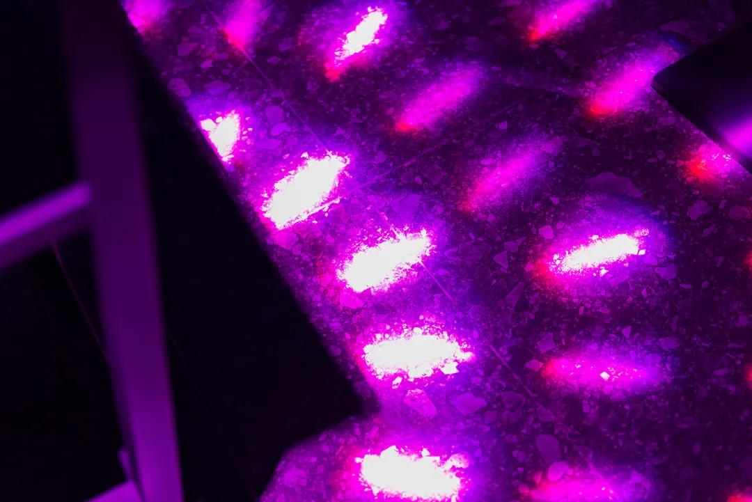 潮人聚集的夜店,潮咖集结