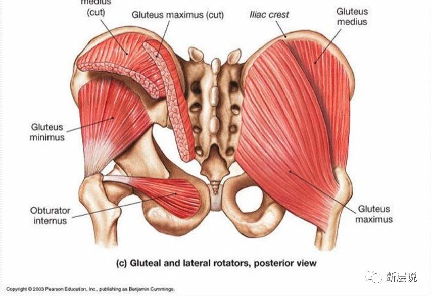 这届年轻人的腰越来越不行了,远离腰痛3大毁腰习惯2步自我康复