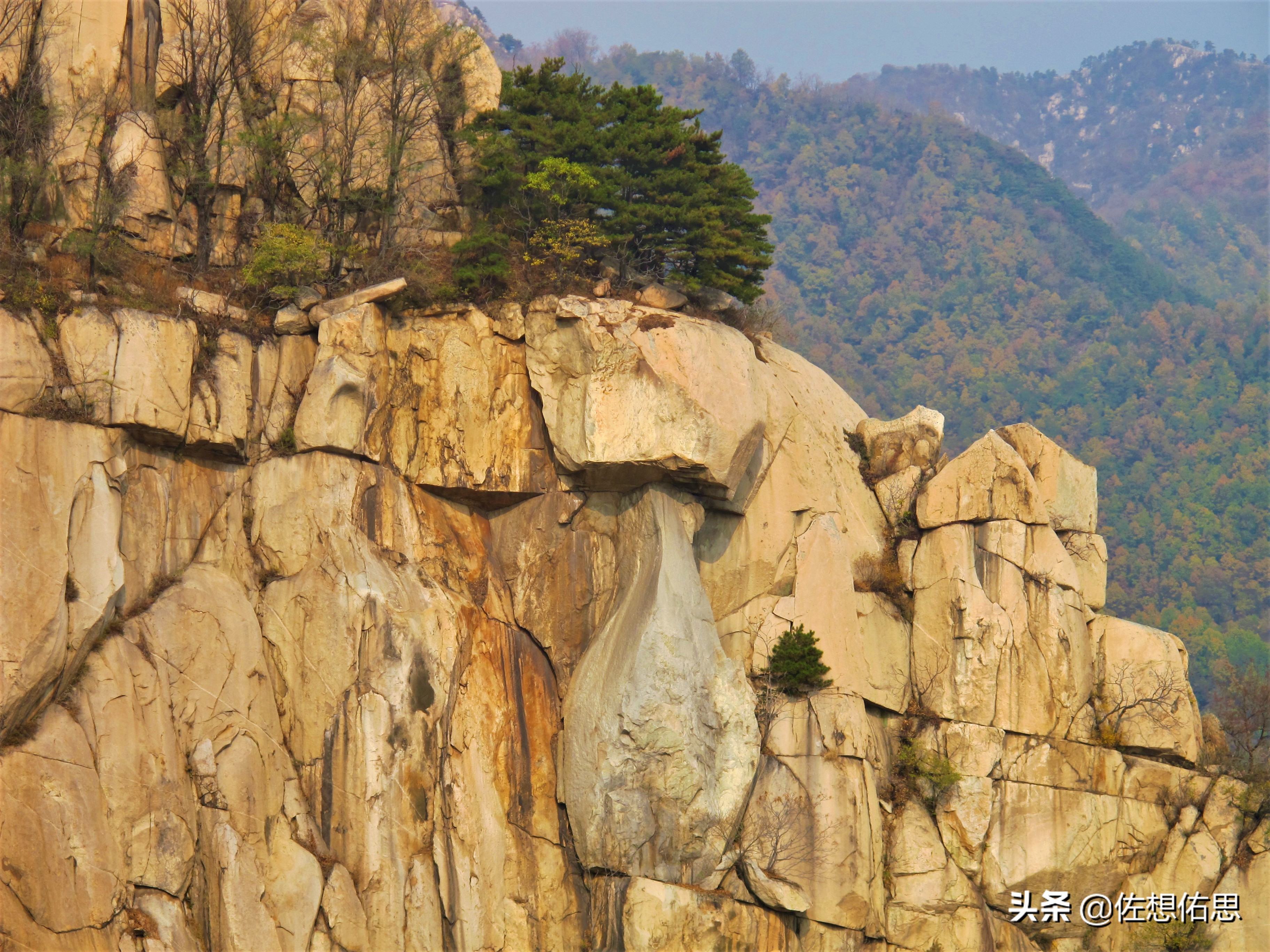 扇子崖优惠,泰安扇子崖免门票吗