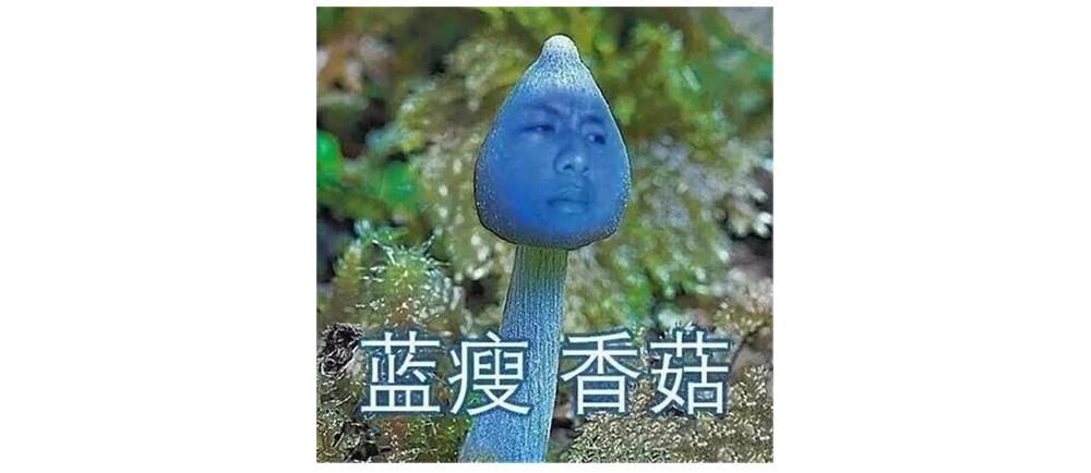 病毒让你“禁足”，但禁不了你玩股骚操作