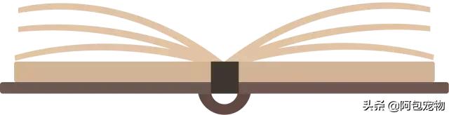 让狗狗绝育要注意什么,给狗狗绝育有什么害处吗