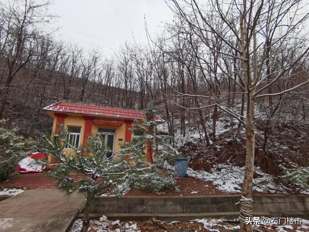 实探现场,实探日本果园