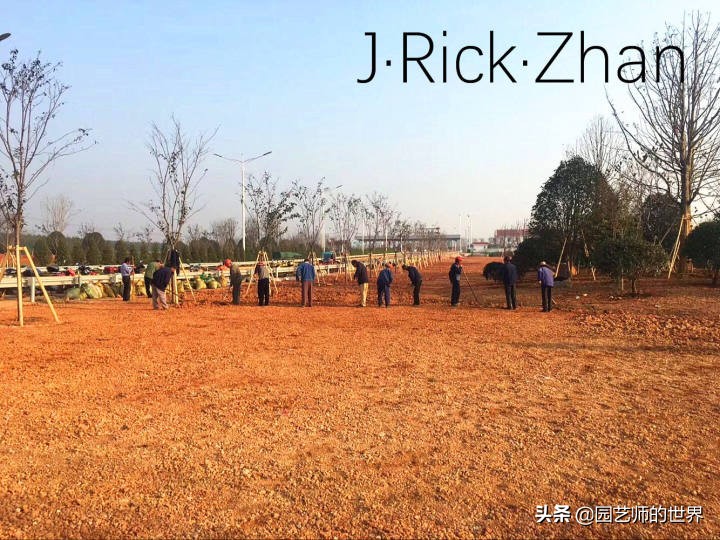 怎样种植草坪技术,果岭草坪的种植养护方法及技巧