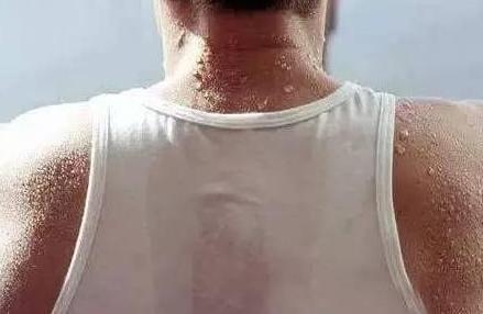 牛油果减肥能吃吗有营养吗,牛油果减肥还是增肥牛油果怎么吃