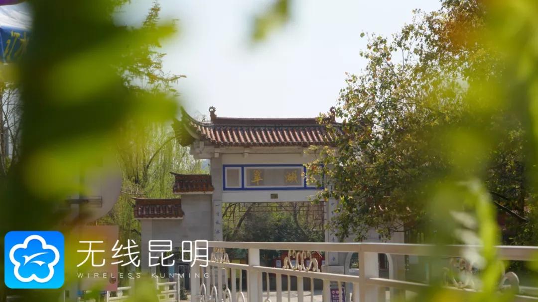 昆明哪有好玩的地方,昆明市内有什么好玩的地方