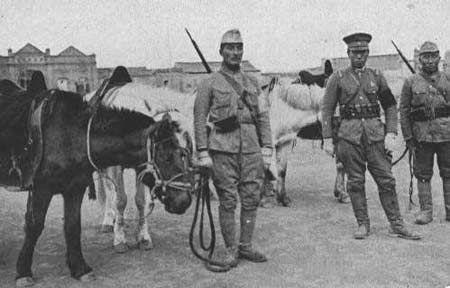 伪军团长被日本人射杀,伪军团长射杀日本人