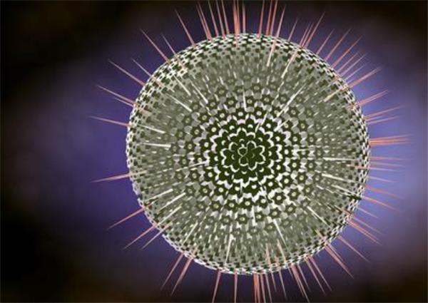 手上起疱疹很痒是什么原因,手上反复疱疹