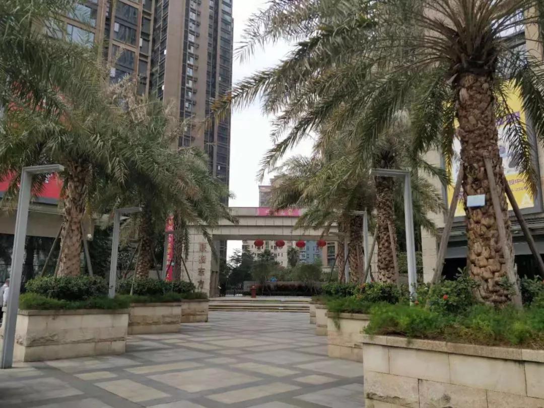 深圳上周楼盘去化量,深圳楼盘首日去化情况