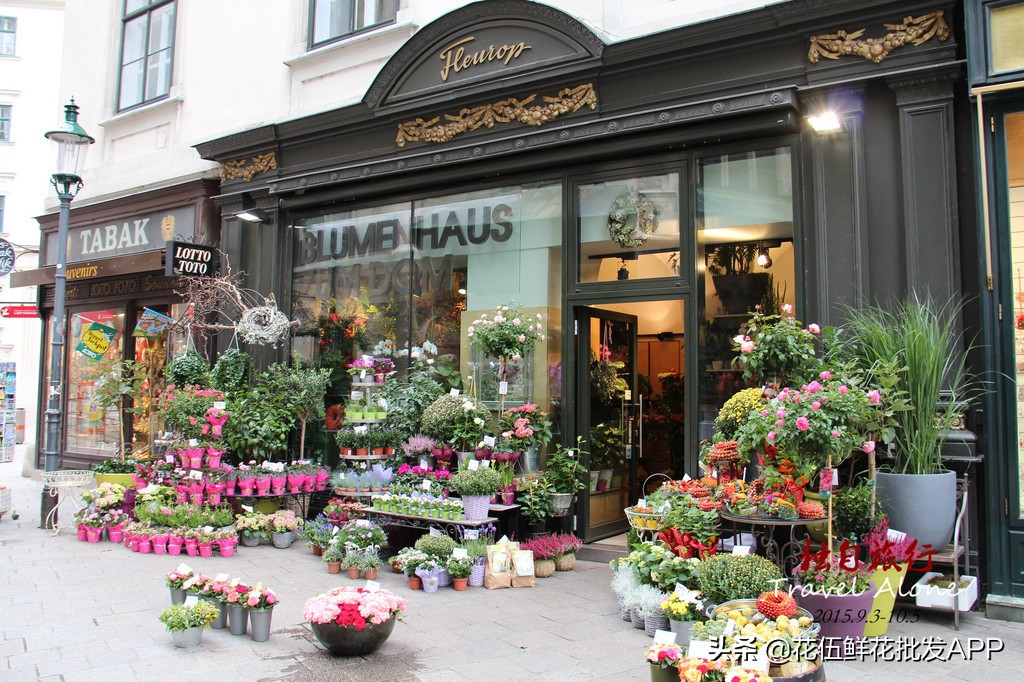 花艺师找工作如何分辨花店好不好,花艺师培训班零基础免费学开花店