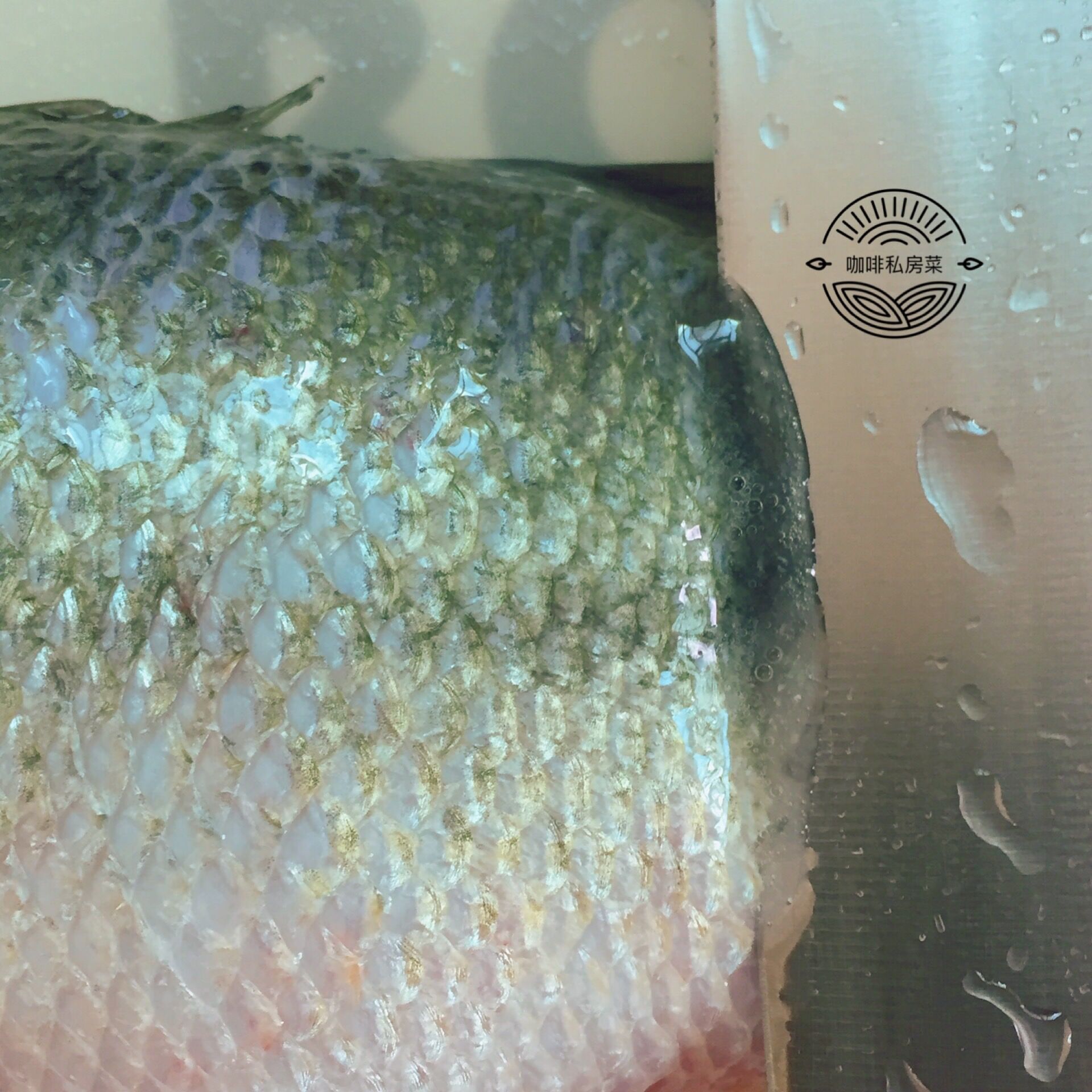 做清蒸鱼用什么油淋,清蒸鱼先放蒸鱼豉油还是先浇热油