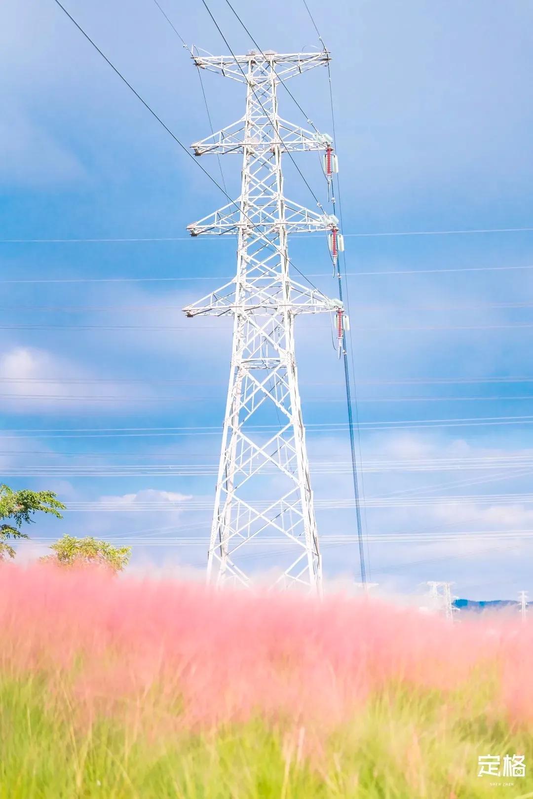 深圳周末打卡地点排行榜,深圳秋季打卡攻略