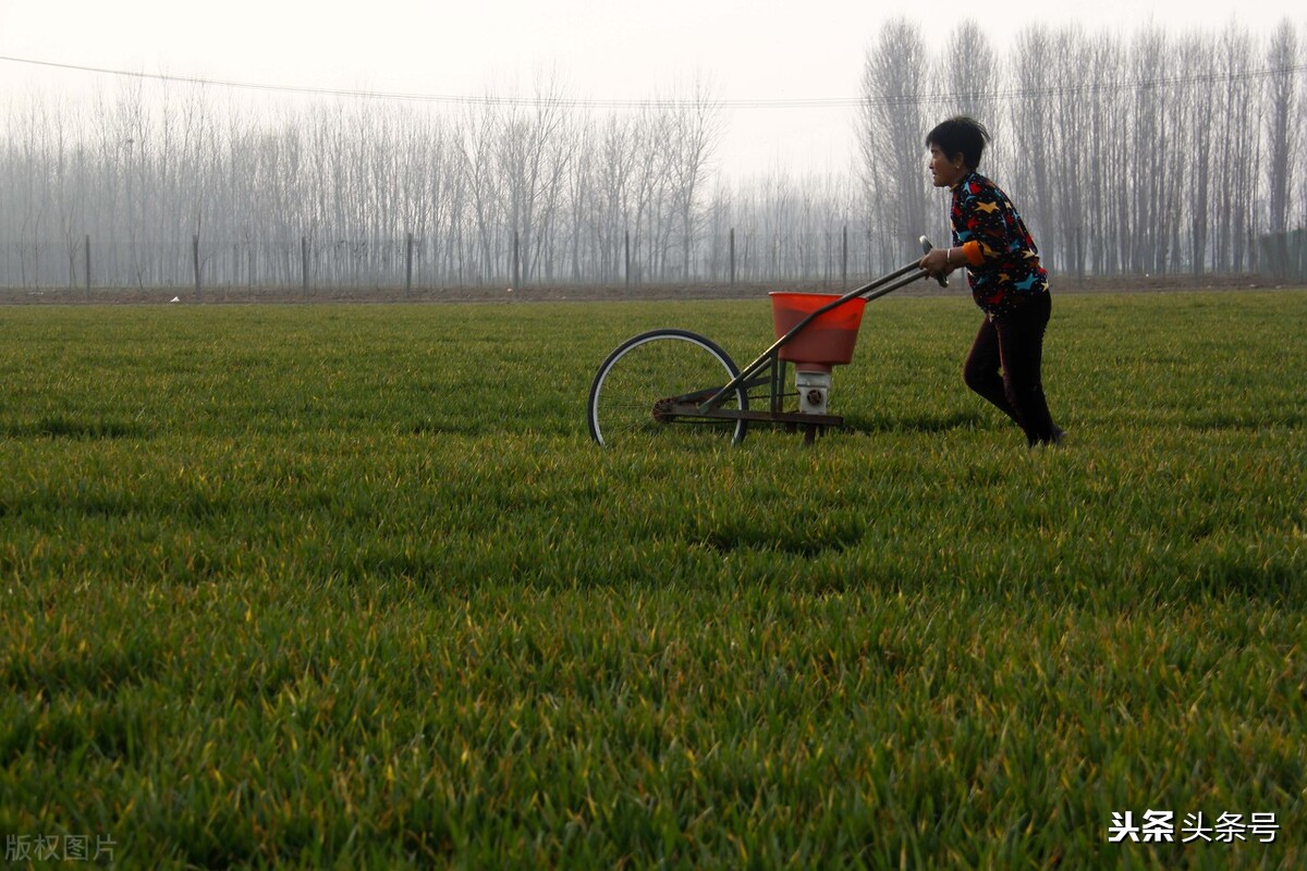 沈阳金牛手扶拖拉机,金牛手扶拖拉机