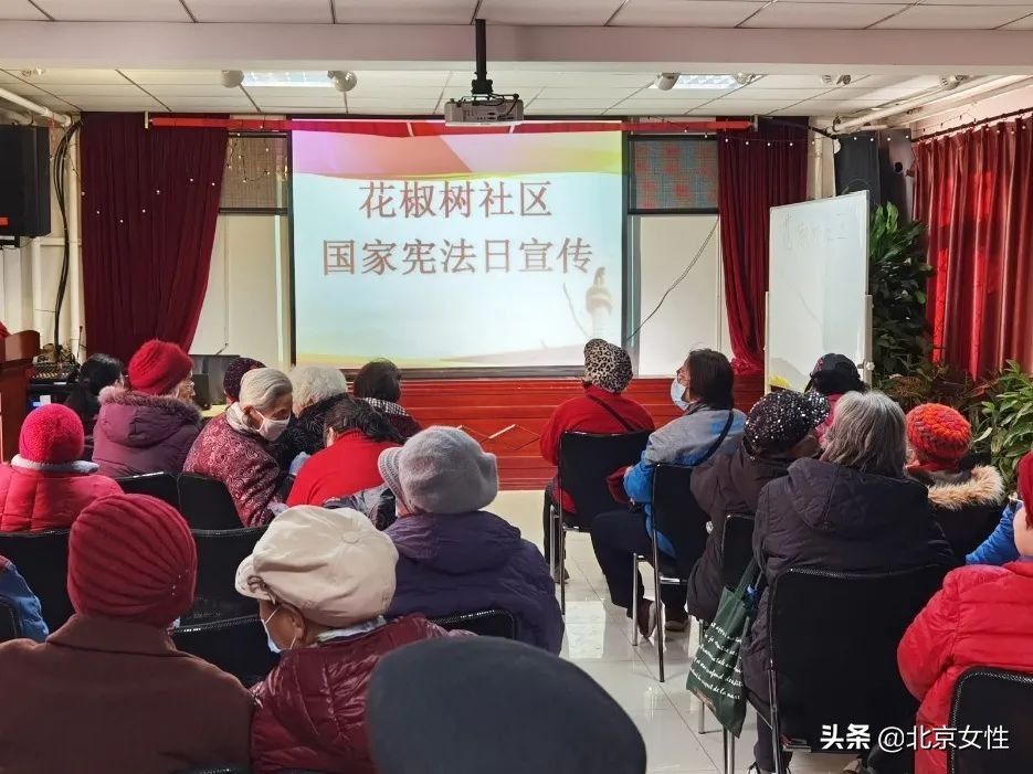 妇联执委进网格项目领办工作方案,妇联执委领办制度内容