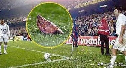 80后的记忆回忆,80后回忆足球球星