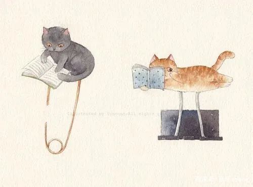 爱一个人就像养一只猫,爱一个人就像爱一只小猫