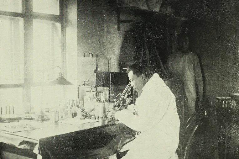 板蓝根2024年以后的前景如何,板蓝根将迎来转折点